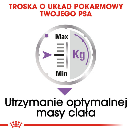 Royal Canin CCN Sterilised 85g Karma Mokra Pasztet Dla Psów Dorosłych Sterylizowanych