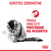 Royal Canin Hairball Care 12x85g Mokra Karma Dla Kotów Dorosłych w Sosie Eliminacja Kul Włosowych