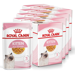 Royal Canin FHN Kitten Instinctive 48x85g Karma Mokra W Galaretce Dla Kociąt Do 12 Miesiąca Życia