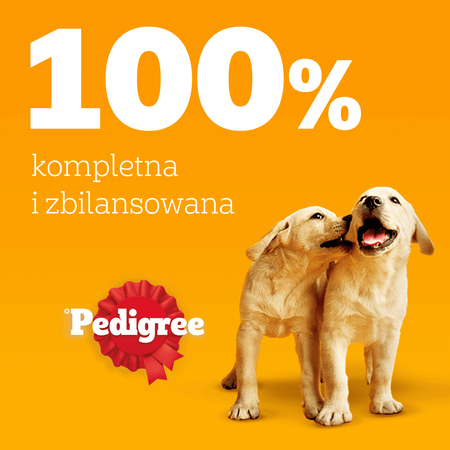 Pedigree Junior Saszetka 48x100g Mokra Karma W Galaretce Dla Psa Mix Czterech Smaków