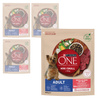 Purina One Mini Adult 4x800g Sucha Karma Dla Psów Małych Ras Z Wołowiną I Ryżem