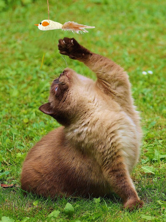 Zabawka Interaktywna Wędka Dla Kota Mysz Duża Biała 40cm