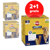 Pedigree Dentastix 3x56szt Przysmak Dentystyczny Dla Psów Dużych Ras 2+1 GRATIS