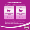 WHISKAS 1+ z Wołowiną w Sosie 2x 400g Puszka - Mokra karma dla kota, 1+1 50%