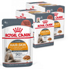 Royal Canin Hair & Skin 24x85g Mokra Karma Dla Kotów Dorosłych w Sosie Zdrowa Skóra Piękna Sierść