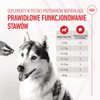 Royal Canin Supplements Dog Joint & Ageing 240g Suplementy Dla Psów Dorosłych W Postaci Przysmaków Wspierające Prawidłowe Funkcjonowanie Stawów