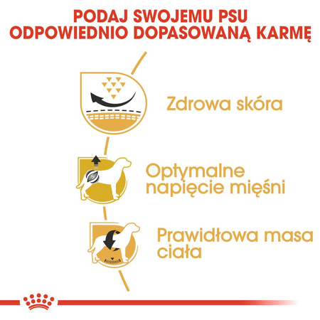 Royal Canin BHN Pug Adult 1,5kg Karma Sucha Dla Psów Dorosłych Rasy Mops