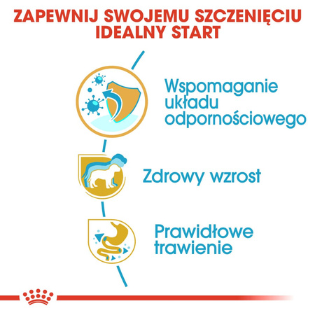 Royal Canin BHN Jack Russell Terrier Puppy 1,5kg Karma Sucha Dla Szczeniąt Do 10 Miesiąca Rasy Jack Russel Terrier