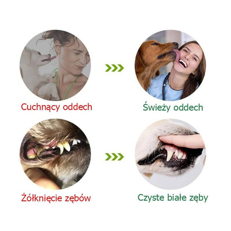 Gryzak Zabawka Dentystyczna Do Zębów Dla Psa L Kolor Turkusowy