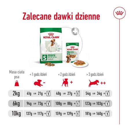 Royal Canin Mini Adult 800g Karma Sucha Dla Psów Dorosłych Ras Małych