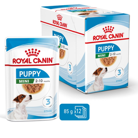 Royal Canin Puppy Jack Russell Terrier Sucha Karma Dla Szczeniąt 3kg + Mokra W Sosie 12x85g