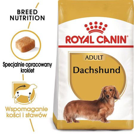 Royal Canin BHN Dachshund Adult 7,5kg Karma Sucha Dla Psów Dorosłych Rasy Jamnik
