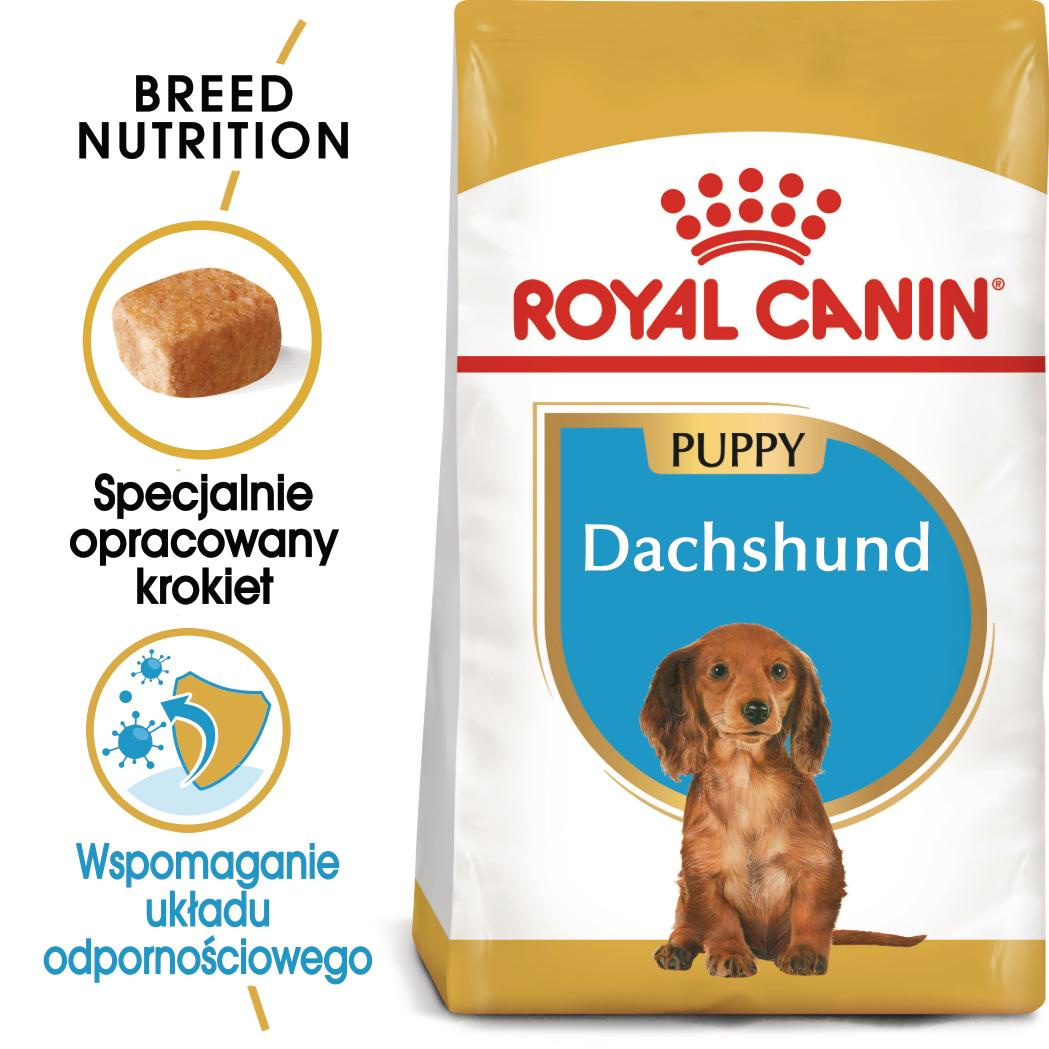 Royal Canin BHN Dachshund Puppy Karma Sucha