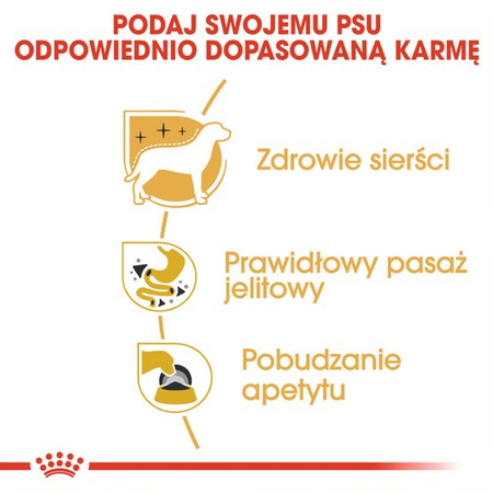 Royal Canin BHN Chihuahua Adult 24x85g Karma Mokra Pasztet Dla Psów Dorosłych Rasy Chihuahua
