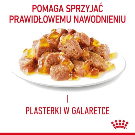 Royal Canin Hair & Skin w Sosie i Galaretce 6x85g Mokra Karma Dla Kotów Dorosłych Zdrowa Skóra Piękna Sierść