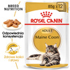 Royal Canin FBN Maine Coon Adult 48x85g Karma Mokra W Sosie Dla Kotów Dorosłych Rasy Maine Coon