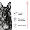 Royal Canin Adult Maxi BF 15kg Zbilansowana Sucha Karma Dla Psów Dużych Ras Do 5 Roku Życia