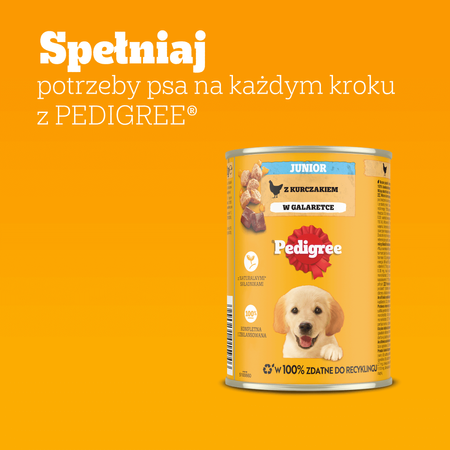 PEDIGREE Junior Puszka 12x 400g - Mokra Karma dla Psów z Kurczakiem w Galaretce