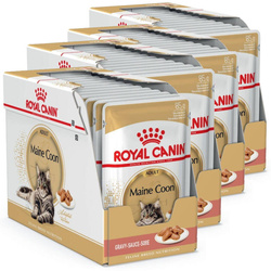 Royal Canin FBN Maine Coon Adult 48x85g Karma Mokra W Sosie Dla Kotów Dorosłych Rasy Maine Coon