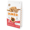 Sucha Karma Iams for Vitality Dla Dorosłych Kotów Z Łososiem 3kg