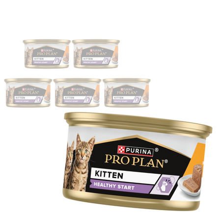 Purina Pro Plan Kitten Healthy Start 6x85g Mokra Karma Dla Kociąt Mus z Kurczakiem