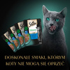 Sheba Nature's Collection 4x85g Mokra Karma Dla Kotów Rybne Smaki W Sosie Ryba Oceaniczna Tuńczyk Łosoś Dorsz