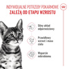 Royal Canin Kitten Sterilised 3,5kg Karma Sucha Dla Kociąt Sterylizowanych Od 4 Do 12 Miesiąca Życia