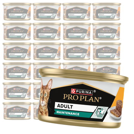 Purina Pro Plan Adult Maintenance 24x85g Mokra Karma Dla Kota Wilgotny Pasztet z Kurczakiem