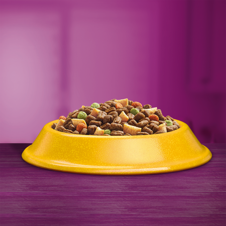 WHISKAS Adult 3,8 kg z Kurczakiem Sucha Karma Pełnoporcjowa Dla Dorosłych Kotów