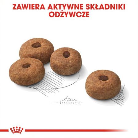 Royal Canin Maxi Sterilised Karma Sucha Dla Psów Sterylizowanych Ras Dużych 3kg + Pasztet 12x85g