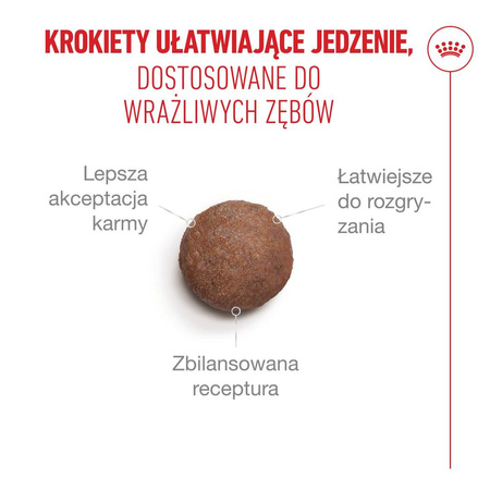 Royal Canin Ageing Sterilised 11+ Karma Sucha 2kg Dla Kotów Dojrzałych Po Sterylizacji Powyżej 11 Roku Życia