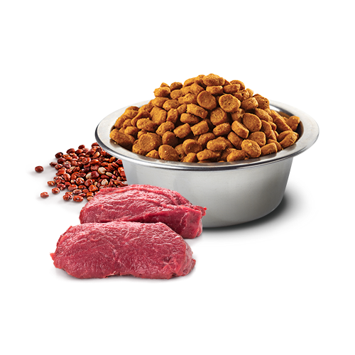 Farmina N&D Quinoa Dog Sucha Karma Dla Psów Z Jeleniem