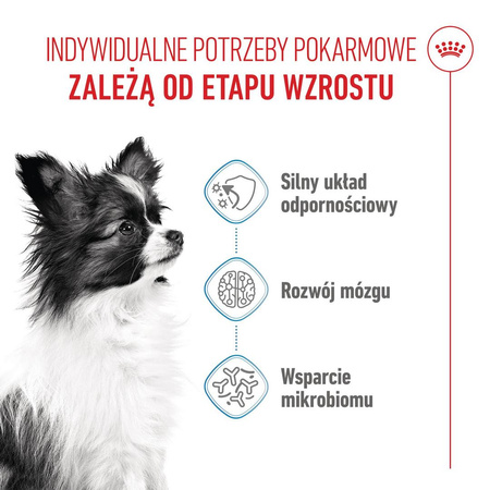 Royal Canin SHN X-Small Puppy 1,5kg Sucha Karma Dla Szczeniąt Ras Miniaturowych Od 2 Do 10 Miesiąca Życia