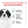Royal Canin SHN Giant Puppy 15kg Karma Sucha Dla Szczeniąt Od 2 Do 8 Miesiąca Życia Ras Olbrzymich