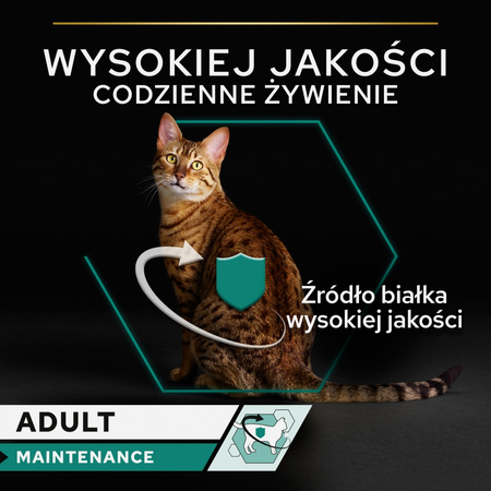 Purina Pro Plan Adult Maintenance 12x85g Mokra Karma Dla Kota Wilgotny Pasztet z Kurczakiem