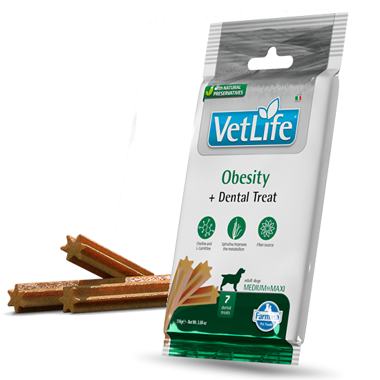 dental treat Obesity medium & maxi