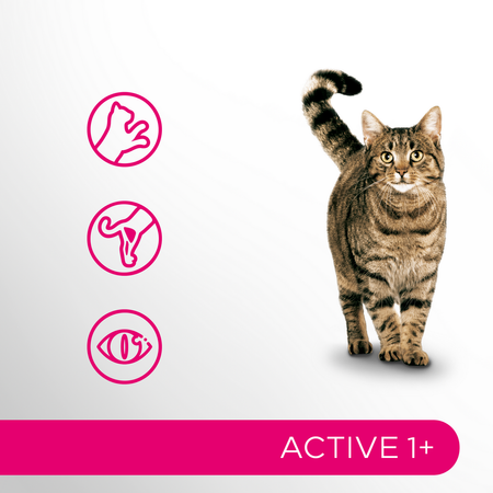 Perfect Fit Active 1+ z Wołowiną 8x750g Sucha Karma Dla Aktywnych Dorosłych Kotów