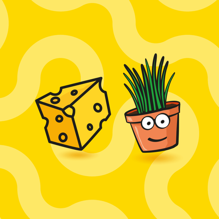 Dreamies Creamy 36x10g Kremowy Przysmak Dla Kota Z Serem I Z Kocimiętką