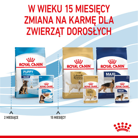 Royal Canin Maxi Puppy 140g Karma Mokra W Sosie Dla Szczeniąt Do 15 Miesiąca Życia Ras Dużych