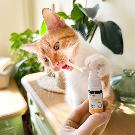 LAB-V ADE Complex Witaminy Dla Psów i Kotów 2x10ml Zdrowa Skóra Wzrok i Odporność