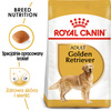 Royal Canin BHN Golden Retriever Adult 12kg Karma Sucha Dla Psów Dorosłych Rasy Golden Retriever