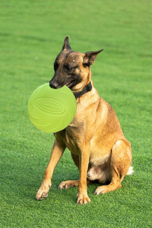 Frisbee Gumowa Zabawka Dla Psa Latający Dysk Kolor Zielony Średnica 18cm