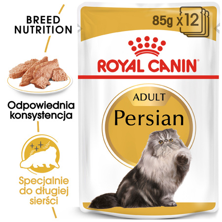 Royal Canin FBN Persian Adult 24x85g Karma Mokra Pasztet Dla Kotów Dorosłych Rasy Pers