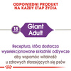 Royal Canin Giant Adult Karma Sucha Dla Psów Dorosłych Ras Olbrzymich 2x15kg