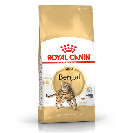 Royal Canin FBN Bengal Adult 10kg Karma Sucha Dla Kotów Dorosłych Rasy Bengalskiej Powyżej 12 Miesiąca Życia