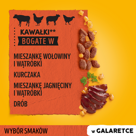 Pedigree Saszetka 48x100g Mokra Karma W Galaretce Dla Psa Wołowina, Kurczak, Jagnięcina, Drób