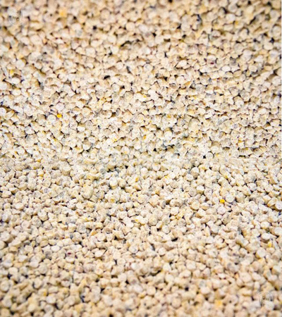 Super Benek Corn Cat Natural 7L - Żwirek kukurydziany 100% biodegradowalny