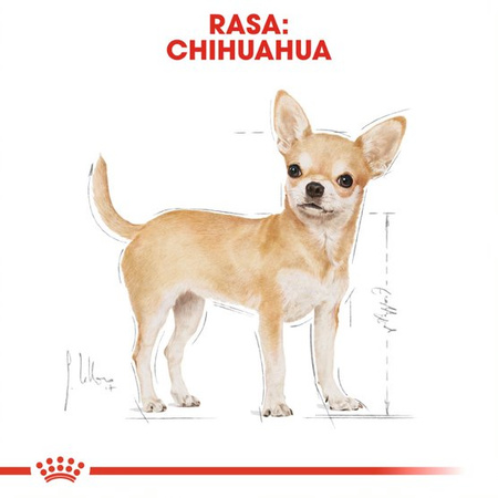 Royal Canin BHN Chihuahua Adult 24x85g Karma Mokra Pasztet Dla Psów Dorosłych Rasy Chihuahua