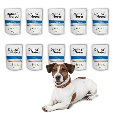 Dolina Noteci Premium Pstrąg Mokra Karma Dla Psa 10x500g