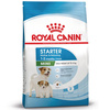 Royal Canin Mini Starter Mother & Babydog 8kg Karma Sucha Dla Suk W Ciąży I Okresie Laktacji Oraz Szczeniąt Ras Małych